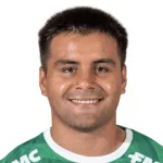 Y. Arismendi